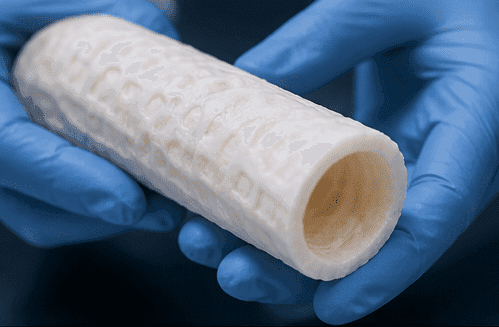 A scientist is holding an artificial trachea.