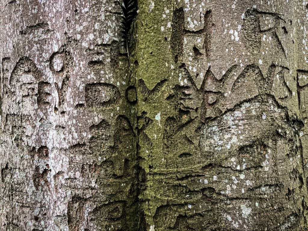 The mysterious inscription “CROATOAN” carved into tree bark, the disappearance of the Roanoke Colony.